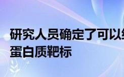 研究人员确定了可以缓解移植物抗宿主疾病的蛋白质靶标