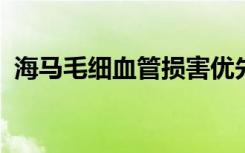 海马毛细血管损害优先于早期认知功能障碍