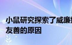 小鼠研究探索了威廉姆斯综合症为何导致极端友善的原因