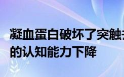 凝血蛋白破坏了突触并导致阿尔茨海默病模型的认知能力下降