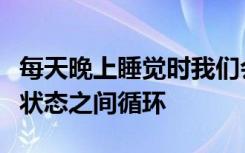 每天晚上睡觉时我们会在两种截然不同的睡眠状态之间循环