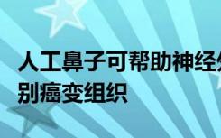 人工鼻子可帮助神经外科医生在手术过程中识别癌变组织