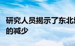 研究人员揭示了东北地区十多种野生蜜蜂物种的减少