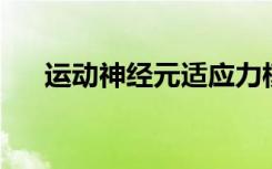 运动神经元适应力模型可促进ALS研究