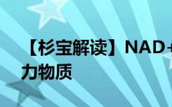 【杉宝解读】NAD+及其前体是抗衰老的潜力物质