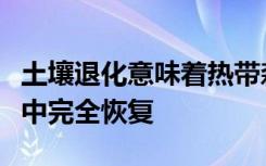 土壤退化意味着热带森林可能永远无法从伐木中完全恢复