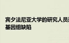 宾夕法尼亚大学的研究人员追踪与男性不育有关的精子表观基因组缺陷