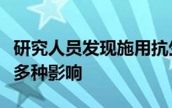 研究人员发现施用抗生素的奶牛粪便对土壤有多种影响