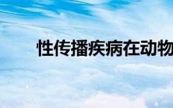 性传播疾病在动物和人类中普遍存在