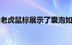 老虎鼠标展示了囊泡如何调节大脑的免疫系统