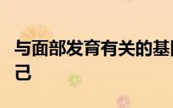 与面部发育有关的基因暗示人类已经驯化了自己