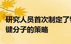 研究人员首次制定了针对帕金森氏病有关的关键分子的策略