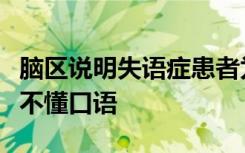 脑区说明失语症患者为何能听懂书面文字但听不懂口语