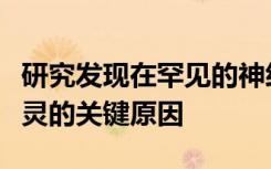 研究发现在罕见的神经发育状况下大脑连接失灵的关键原因