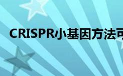 CRISPR小基因方法可阻止小鼠遗传性肝病