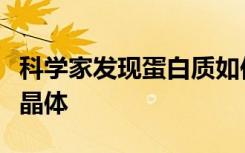 科学家发现蛋白质如何形成铺满微生物外壳的晶体