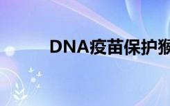 DNA疫苗保护猴子免受寨卡病毒