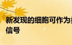 新发现的细胞可作为类风湿关节炎发作的预警信号