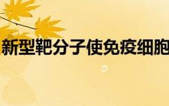 新型靶分子使免疫细胞得以追踪致命的脑肿瘤