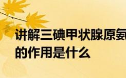 讲解三碘甲状腺原氨酸抑制试验T3抑制实验的作用是什么