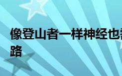 像登山者一样神经也需要专家指导才能找到出路