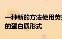 一种新的方法使用荧光来检测可能因疾病引起的蛋白质形式