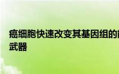 癌细胞快速改变其基因组的能力是否可以用作抗恶性肿瘤的武器