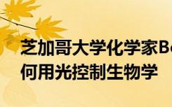 芝加哥大学化学家Bozhi Tian一直在研究如何用光控制生物学