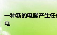 一种新的电鳗产生任何已知动物的最高电压放电