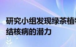 研究小组发现绿茶植物中的化合物显示出抗击结核病的潜力