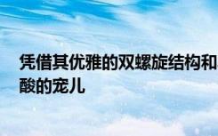 凭借其优雅的双螺旋结构和丰富的遗传特征 DNA已成为核酸的宠儿