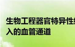 生物工程器官特异性组织具有高细胞密度和嵌入的血管通道