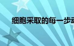 细胞采取的每一步动作科学家都将关注