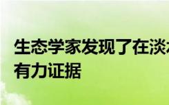 生态学家发现了在淡水湖中沿着食物网捕鱼的有力证据