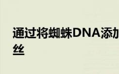 通过将蜘蛛DNA添加到微生物中来创建蜘蛛丝