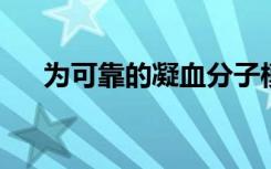 为可靠的凝血分子模型的未来奠定方向