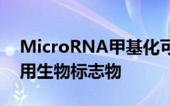 MicroRNA甲基化可能是早期癌症诊断的有用生物标志物