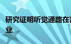 研究证明听觉通路在言语上比以前假设的更专业