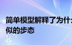 简单模型解释了为什么不同的四足动物采用相似的步态