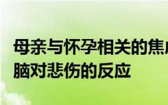 母亲与怀孕相关的焦虑症可能会改变婴儿的大脑对悲伤的反应