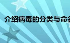 介绍病毒的分类与命名是根据什么来进行的