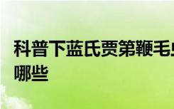 科普下蓝氏贾第鞭毛虫和阴道毛滴虫的区别有哪些