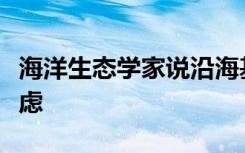 海洋生态学家说沿海基础设施迫切需要重新考虑