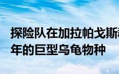 探险队在加拉帕戈斯群岛被发现已经灭绝100年的巨型乌龟物种