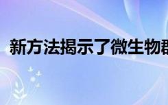 新方法揭示了微生物群落在我们体内的功能