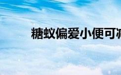 糖蚁偏爱小便可减少温室气体排放