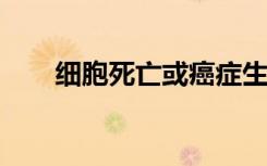 细胞死亡或癌症生长时凝聚力的问题