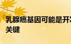 乳腺癌基因可能是开发肝母细胞瘤靶向治疗的关键