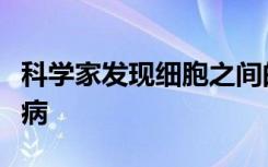 科学家发现细胞之间的流氓通信如何导致白血病