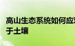 高山生态系统如何应对气候变化这一切都归结于土壤